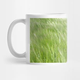 A crop of barley blowing in the breeze in a Yorkshire field Mug